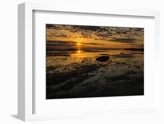 Sunrise at Shelly Beach, Caloundra, Sunshine Coast, Queensland, Australia-Mark A Johnson-Framed Photographic Print