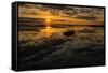 Sunrise at Shelly Beach, Caloundra, Sunshine Coast, Queensland, Australia-Mark A Johnson-Framed Stretched Canvas