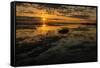 Sunrise at Shelly Beach, Caloundra, Sunshine Coast, Queensland, Australia-Mark A Johnson-Framed Stretched Canvas