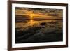 Sunrise at Shelly Beach, Caloundra, Sunshine Coast, Queensland, Australia-Mark A Johnson-Framed Photographic Print