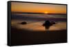 Sunrise at Shelly Beach, Caloundra, Sunshine Coast, Queensland, Australia-Mark A Johnson-Framed Stretched Canvas