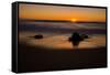 Sunrise at Shelly Beach, Caloundra, Sunshine Coast, Queensland, Australia-Mark A Johnson-Framed Stretched Canvas