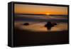 Sunrise at Shelly Beach, Caloundra, Sunshine Coast, Queensland, Australia-Mark A Johnson-Framed Stretched Canvas