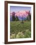 Sunrise at Sunrise-Don Paulson-Framed Giclee Print