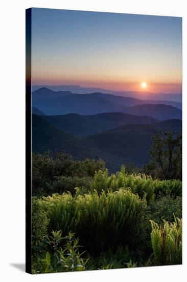 Sunrise at Tennant Mountain Area, Blue Ridge Parkway, North Carolina-Howie Garber-Stretched Canvas