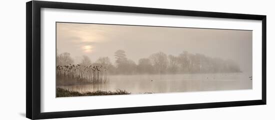 Sunrise at The Great Lake, Castle Howard, North Yorkshire, Yorkshire, England, United Kingdom, Euro-John Potter-Framed Photographic Print