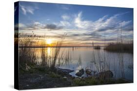Sunrise at the Lake Neusiedl at Purbach, Burgenland, Austria, Europe-Gerhard Wild-Stretched Canvas