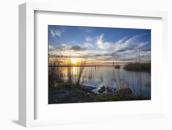 Sunrise at the Lake Neusiedl at Purbach, Burgenland, Austria, Europe-Gerhard Wild-Framed Photographic Print