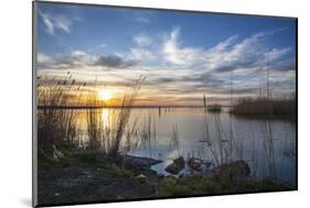 Sunrise at the Lake Neusiedl at Purbach, Burgenland, Austria, Europe-Gerhard Wild-Mounted Photographic Print
