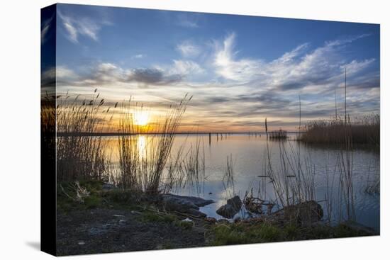 Sunrise at the Lake Neusiedl at Purbach, Burgenland, Austria, Europe-Gerhard Wild-Stretched Canvas