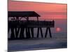 Sunrise at the Pier, Tybee Island, Georgia, USA-Joanne Wells-Mounted Photographic Print