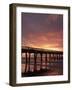 Sunrise at the Pier, Tybee Island, Georgia, USA-Joanne Wells-Framed Photographic Print