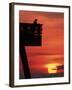 Sunrise at the Pier, Tybee Island, Georgia, USA-Joanne Wells-Framed Premium Photographic Print