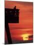 Sunrise at the Pier, Tybee Island, Georgia, USA-Joanne Wells-Mounted Photographic Print