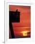 Sunrise at the Pier, Tybee Island, Georgia, USA-Joanne Wells-Framed Photographic Print