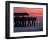 Sunrise at the Pier, Tybee Island, Georgia, USA-Joanne Wells-Framed Photographic Print