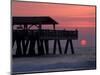 Sunrise at the Pier, Tybee Island, Georgia, USA-Joanne Wells-Mounted Photographic Print