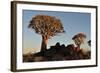 Sunrise at the Quiver Tree Forest, Namibia-Grobler du Preez-Framed Photographic Print