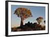 Sunrise at the Quiver Tree Forest, Namibia-Grobler du Preez-Framed Photographic Print