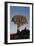 Sunrise at the Quiver Tree Forest, Namibia-Grobler du Preez-Framed Photographic Print