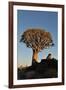 Sunrise at the Quiver Tree Forest, Namibia-Grobler du Preez-Framed Photographic Print