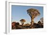 Sunrise at the Quiver Tree Forest, Namibia-Grobler du Preez-Framed Photographic Print