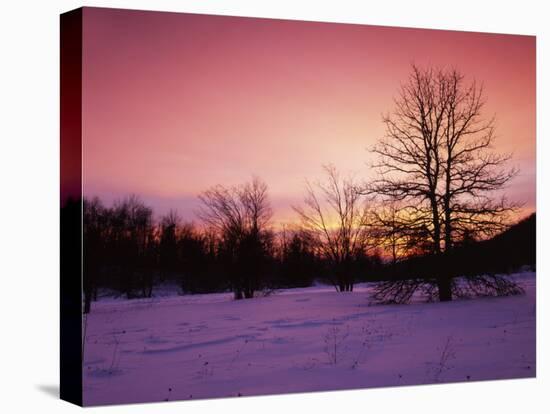 Sunrise at Thorton Gap, Shenandoah National Park, Virginia, USA-Charles Gurche-Stretched Canvas