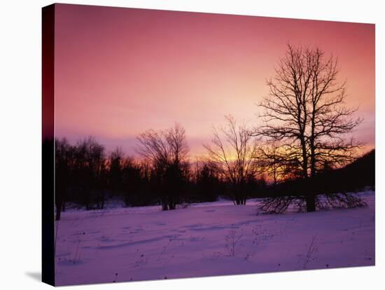 Sunrise at Thorton Gap, Shenandoah National Park, Virginia, USA-Charles Gurche-Stretched Canvas