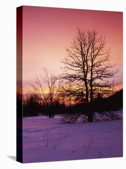 Sunrise at Thorton Gap, Shenandoah National Park, Virginia, USA-Charles Gurche-Stretched Canvas