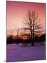 Sunrise at Thorton Gap, Shenandoah National Park, Virginia, USA-Charles Gurche-Mounted Premium Photographic Print