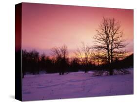 Sunrise at Thorton Gap, Shenandoah National Park, Virginia, USA-Charles Gurche-Stretched Canvas