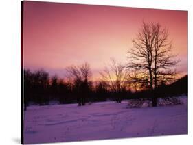 Sunrise at Thorton Gap, Shenandoah National Park, Virginia, USA-Charles Gurche-Stretched Canvas