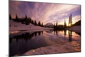 Sunrise at Tipsoo Lakes and Mount Rainier-Craig Tuttle-Mounted Photographic Print