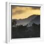 Sunrise at Ubatuba with Mountains in the Background-Alex Saberi-Framed Premium Photographic Print