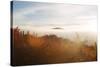 Sunrise, Bariloche, Argentina, South America-Mark Chivers-Stretched Canvas