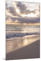 Sunrise, Bavaro, Higuey, Punta Cana, Dominican Republic-Lisa S^ Engelbrecht-Mounted Premium Photographic Print