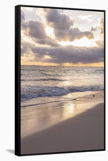 Sunrise, Bavaro, Higuey, Punta Cana, Dominican Republic-Lisa S^ Engelbrecht-Framed Stretched Canvas