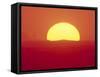 Sunrise Behind Wheat Field, Washington-Stuart Westmorland-Framed Stretched Canvas