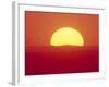 Sunrise Behind Wheat Field, Washington-Stuart Westmorland-Framed Photographic Print