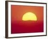 Sunrise Behind Wheat Field, Washington-Stuart Westmorland-Framed Photographic Print