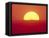 Sunrise Behind Wheat Field, Washington-Stuart Westmorland-Framed Stretched Canvas