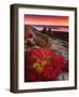 Sunrise, Cadillac Mountain-Michael Hudson-Framed Art Print