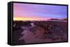 Sunrise Casts a Red Pink Hue on Rocks of a Beach Looking Towards Nugget Point-Eleanor-Framed Stretched Canvas