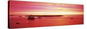Sunrise Chatham Harbor Cape Cod MA USA-null-Stretched Canvas