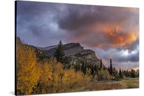 Sunrise clouds over Bear Mountain in Glacier National Park, Montana, USA-Chuck Haney-Stretched Canvas