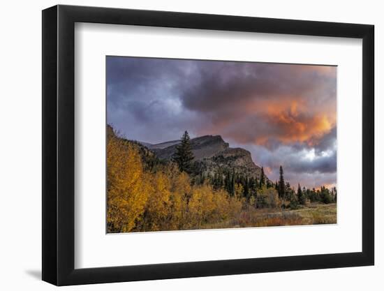 Sunrise clouds over Bear Mountain in Glacier National Park, Montana, USA-Chuck Haney-Framed Photographic Print