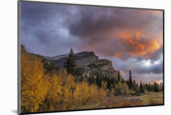 Sunrise clouds over Bear Mountain in Glacier National Park, Montana, USA-Chuck Haney-Mounted Photographic Print