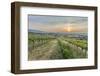 Sunrise, Clouds, Town, Vineyard, the Horizon-Jurgen Ulmer-Framed Photographic Print