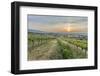 Sunrise, Clouds, Town, Vineyard, the Horizon-Jurgen Ulmer-Framed Photographic Print