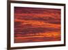 Sunrise cloudscape, Kgalagadi Transfrontier Park, South Africa, Africa-Ann and Steve Toon-Framed Photographic Print